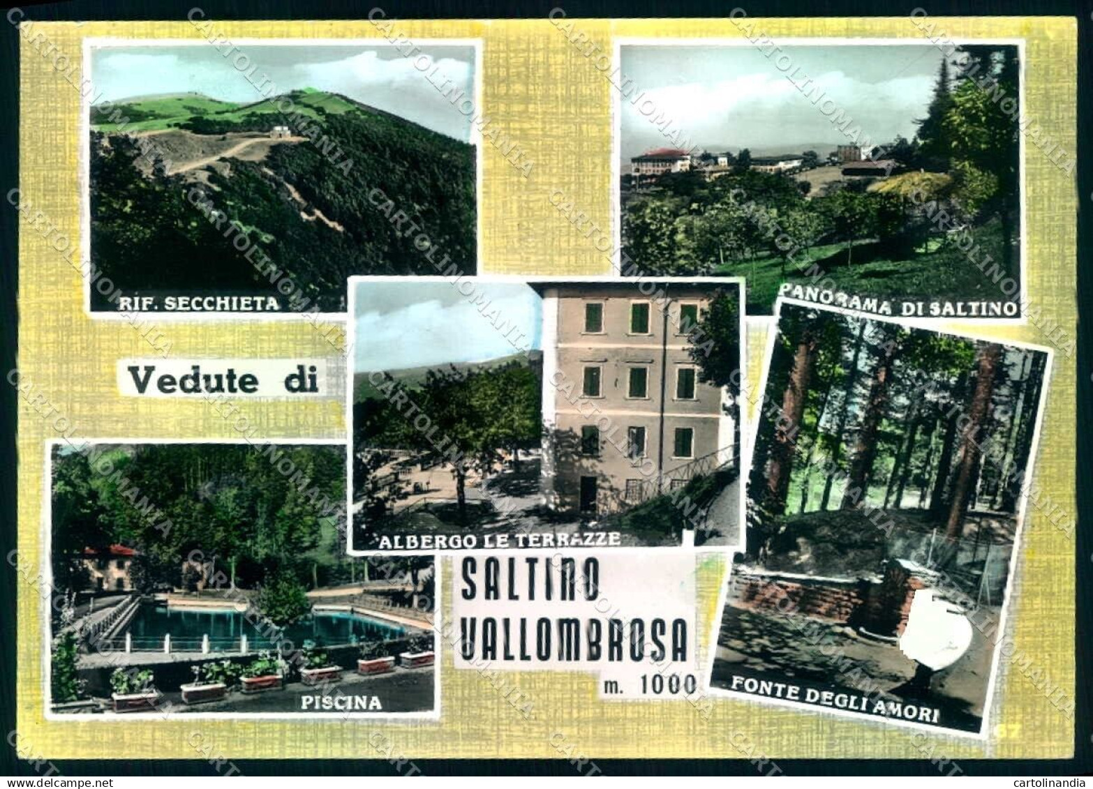 Firenze Saltino Vallombrosa Albergo Le Terrazze Foto FG cartolina JK0015