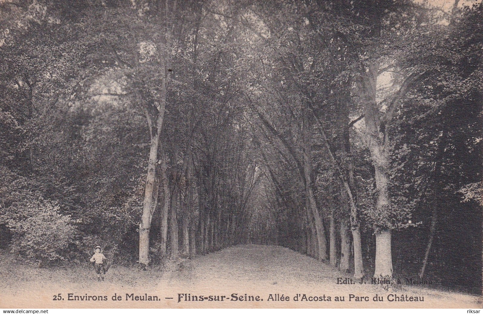 FLINS SUR SEINE(ARBRE)