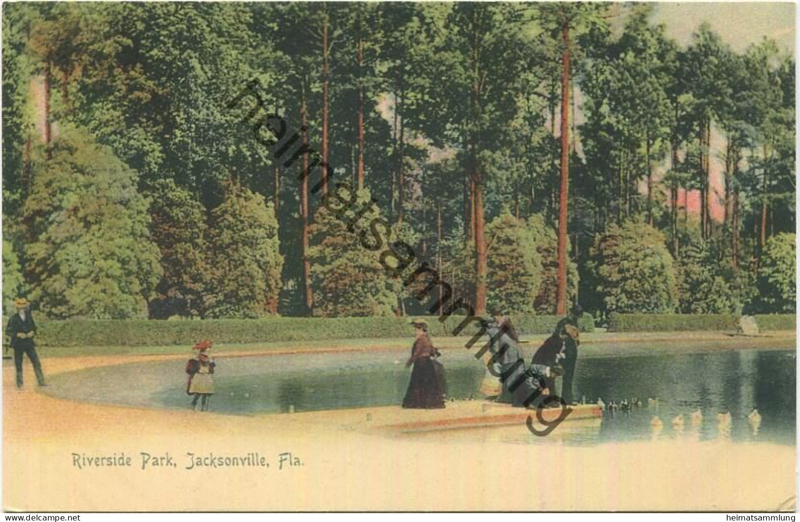 Florida - Jacksonville - Riverside Park - Edition The Rotograph Co. N. Y. City 1904