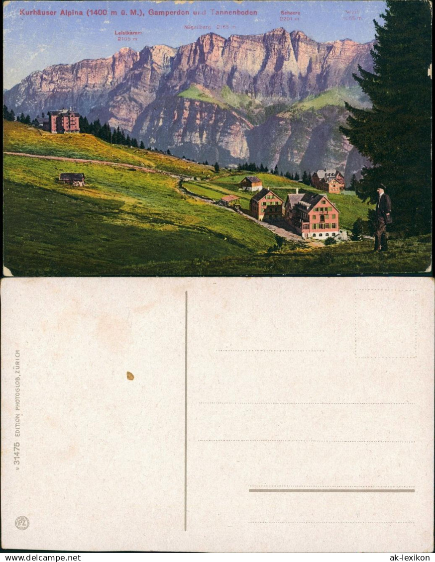 Flums Kurhäuser Alpina Region Flums mit Gamperdon, Tannenboden 1910