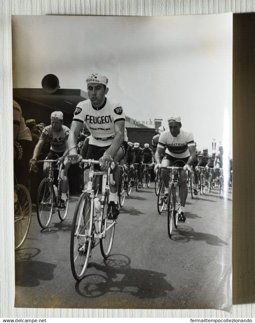 FO4602,foto originale,personaggi famosi,ciclisti merckx e altig,treviglio