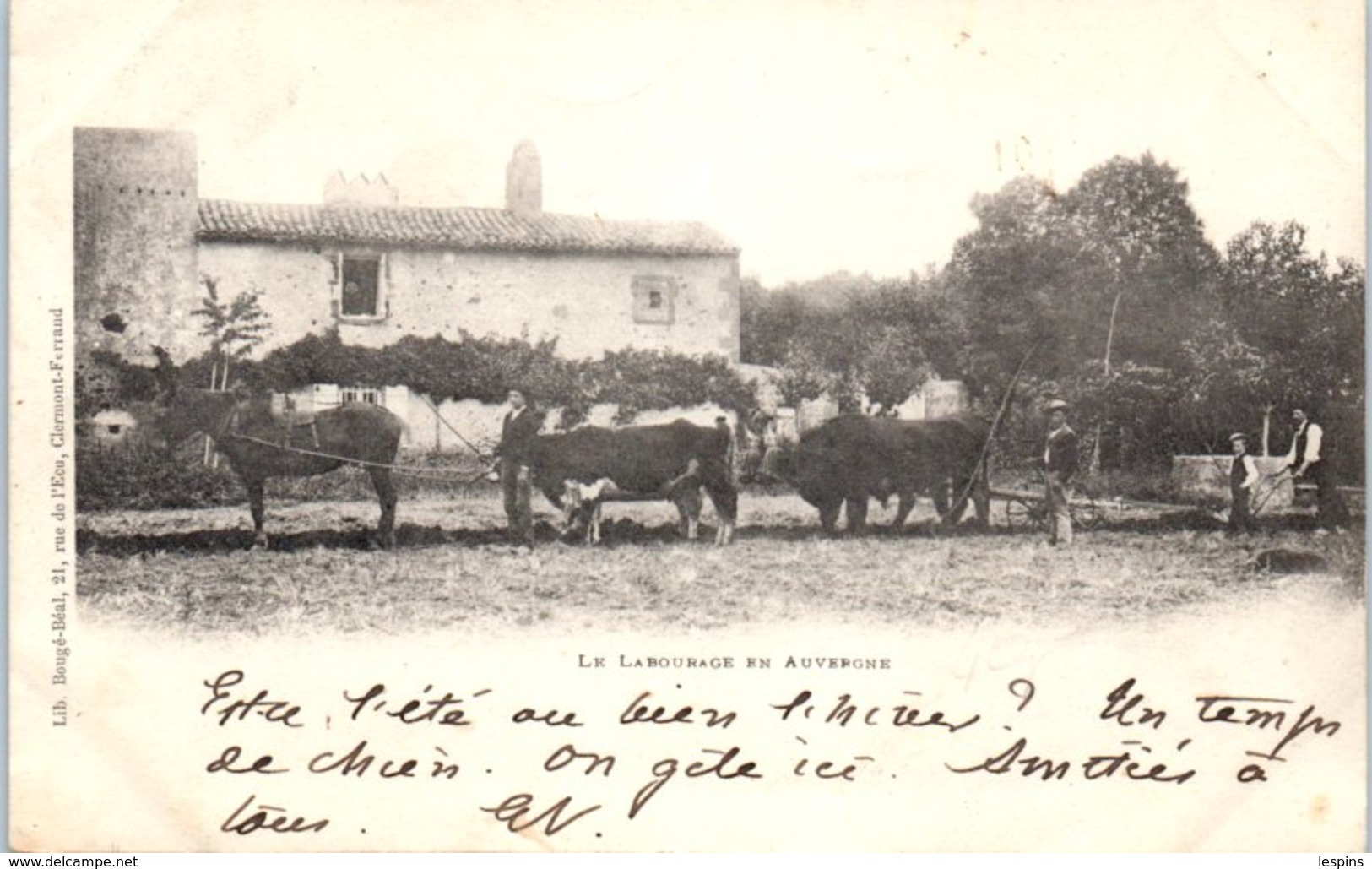 FOLKLORE  -- AUVERGNE - Types d'Auvergne - Le Labourage en auvergne