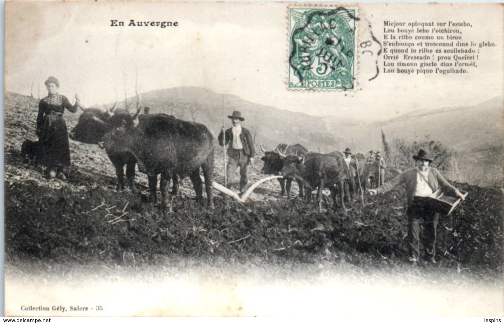 FOLKLORE  -- AUVERGNE - Types d'Auvergne - N°35 -