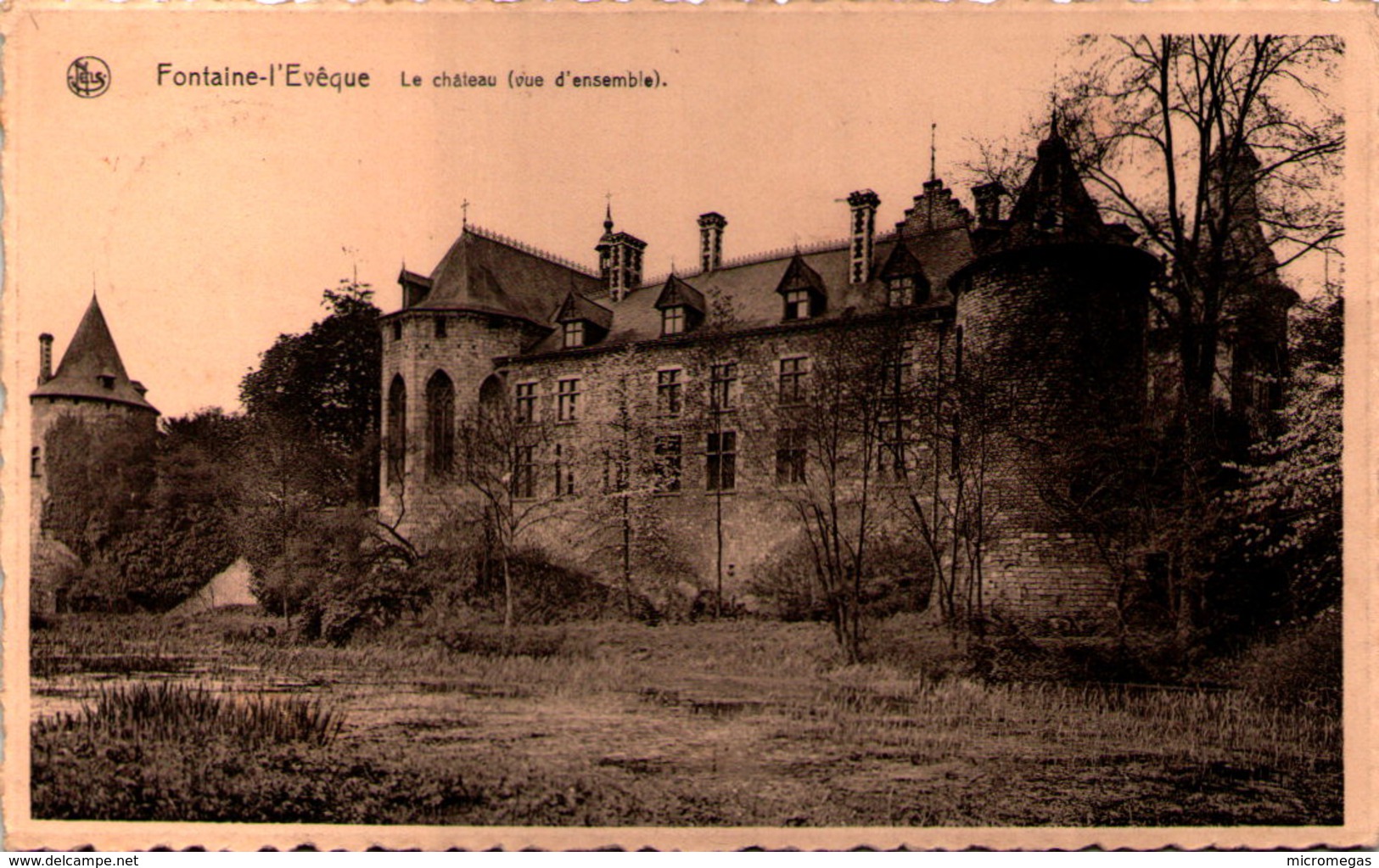 FONTAINE-L'ÉVÊQUE - Le Château (vue d'ensemble)