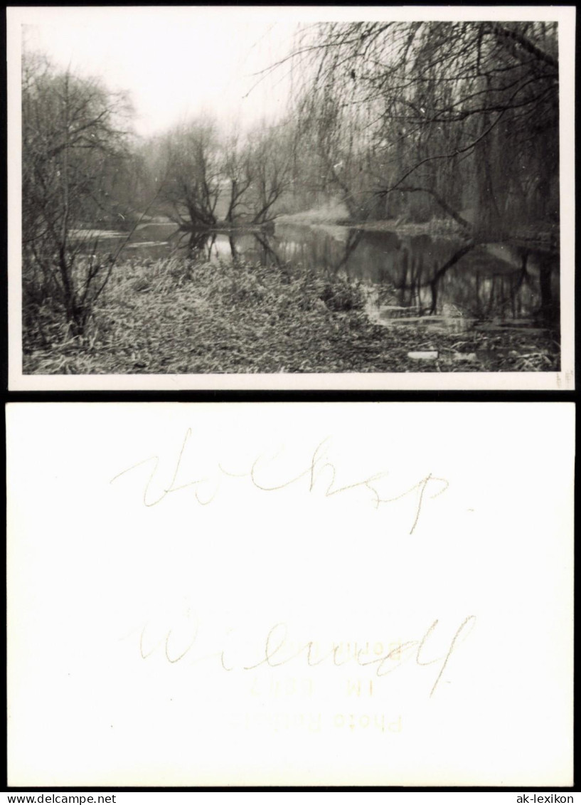 Foto Wilmersdorf-Berlin Volkspark 1950 Privatfoto Foto