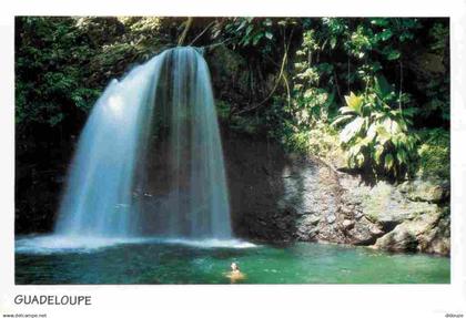 Guadeloupe - Basse Terre - Cascade du Vernon - CPM - Voir Scans Recto-Verso