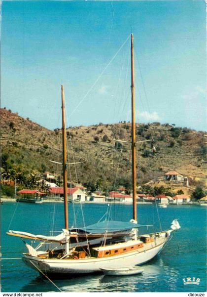 Guadeloupe - Saint Barthelemy - Baie de Gustavia - CPM - Voir Scans Recto-Verso