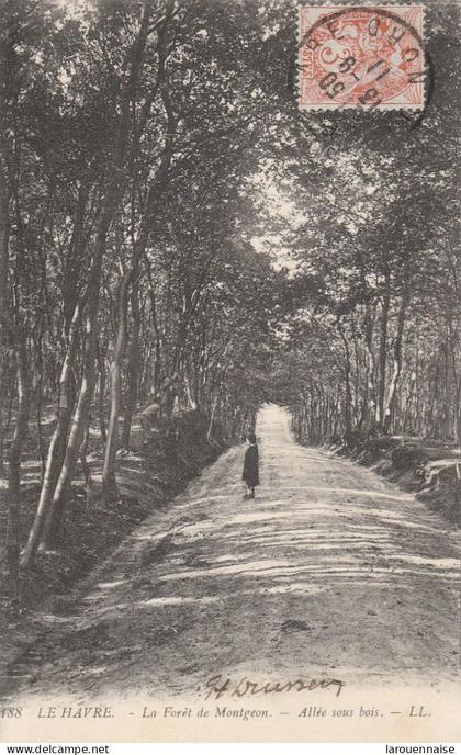 76 - LE HAVRE - La Forêt de Montgeon - Allée sous Bois