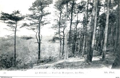 N°69560 -cpa Le Havre -forêt de Montgeon-