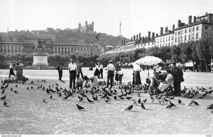 Lyon 2 place Bellecour pigeons 36007 Cellard