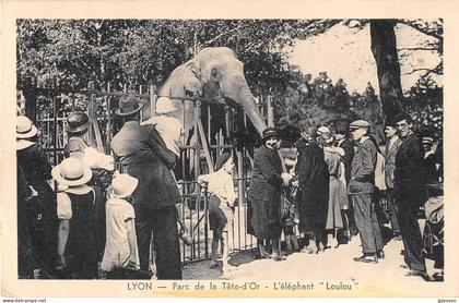 LYON - 6° ARR - PARC DE LA TETE D'OR - L'ELEPHANT "LOULOU"