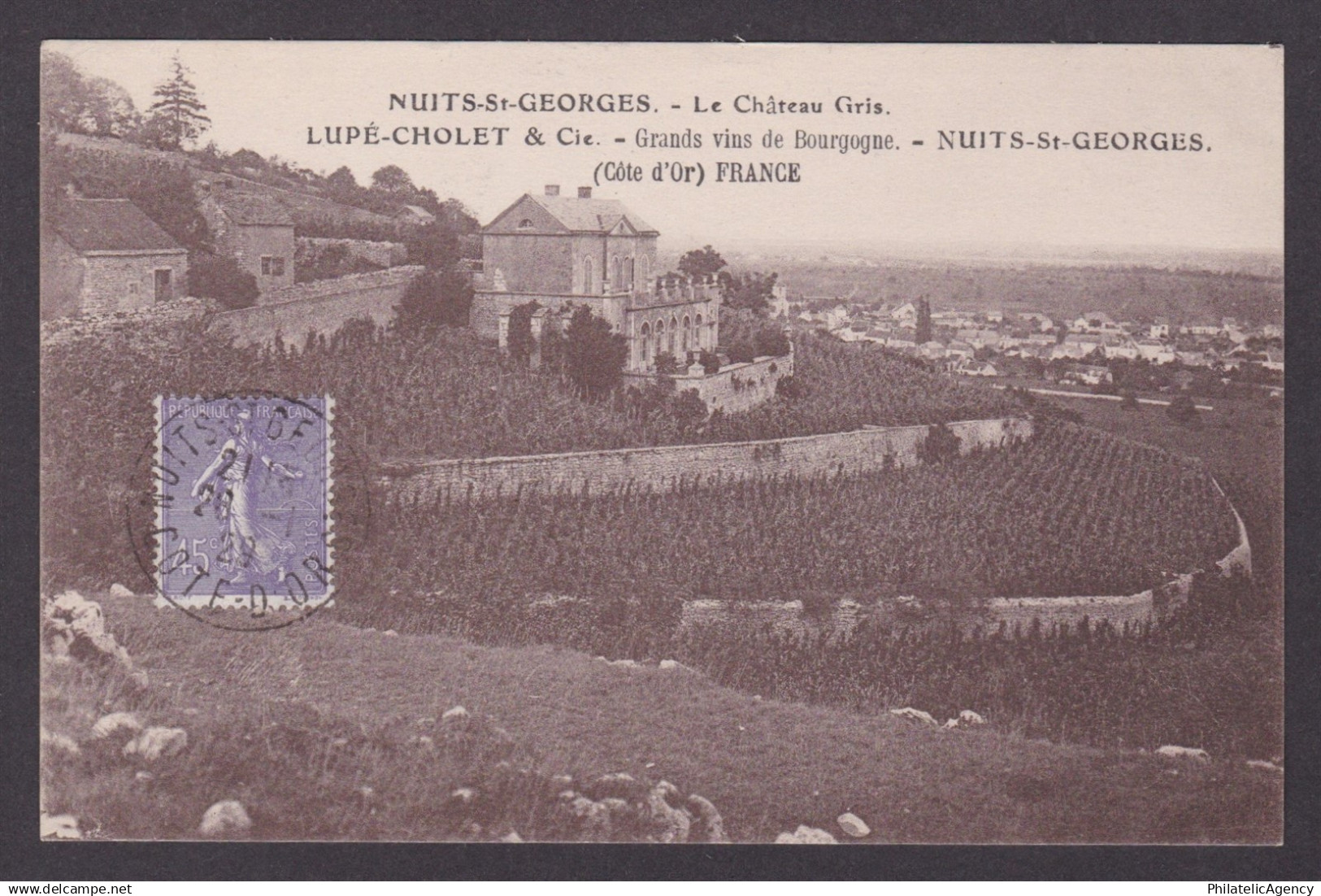 FRANCE, Postcard RPPC, Nuits-Saint-Georges, The Gray Castle