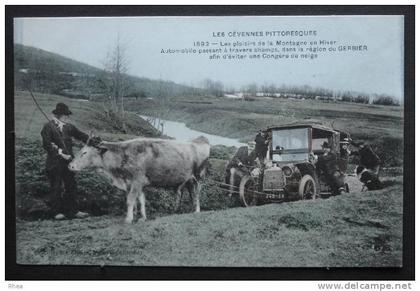 07 automobile vache    D07D  RH024878