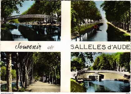 CPM Souvenir de Salleles d'Aude FRANCE (1013720)