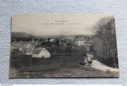 Salers, vue du Forail, Cantal 15