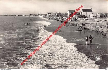 Vue générale de la Plage - Châtelaillon-Plage - (17) Charente Maritime