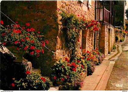 24 - Domme - Ruelle fleurie - Fleurs - CPM - Voir Scans Recto-Verso