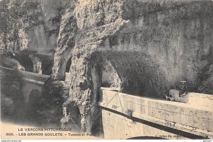 DROME  26  LES GRANDS GOULETS - TUNNELS ET PONTS - "LE VERCORS PITTORESQUE" N°3031