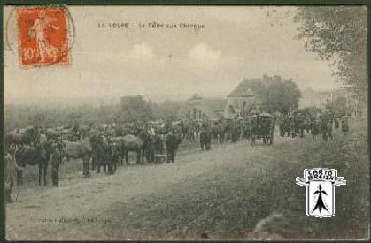 28 La Loupe - LA LOUPE - La Foire aux Chevaux - cpa