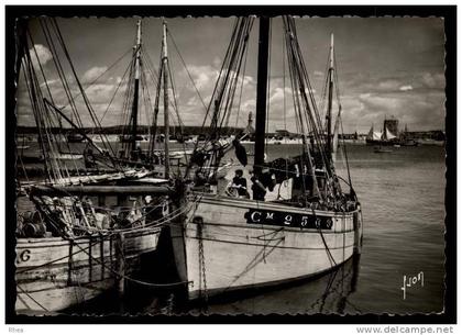 29 Camaret-sur-Mer CAMARET-SUR-MER (Finistère) - Le Port bateau peche port D29D K29042K C29022C RH007520