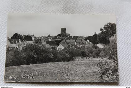 Cpsm, Chatillon sur Indre, vue générale, Indre 36