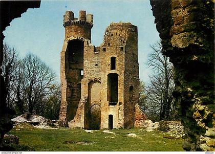 38 - Saint Simeon de Bressieux - Les ruines de Bressieux - Vieilles pierres - Carte Neuve - CPM - Voir Scans Recto-Verso