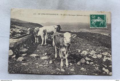 En pleine montagne, Jura pittoresque, vaches, Jura 39