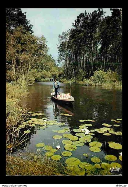 40 - Landes - Courant des Landes - CPM - Voir Scans Recto-Verso