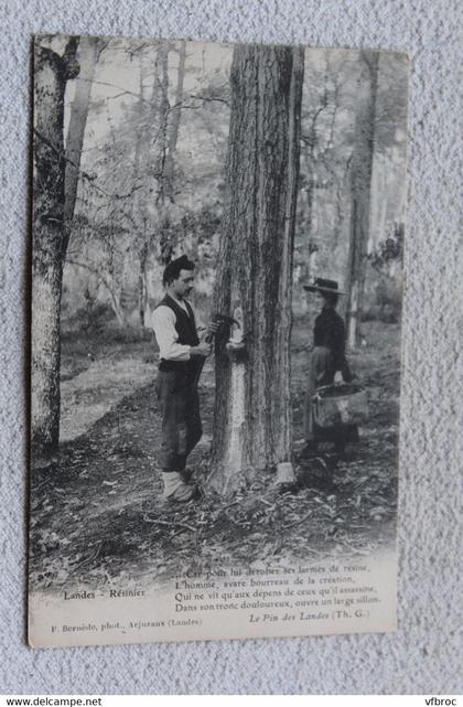 I383, le pin des Landes, résinier, Landes 40