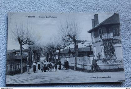 Mézos, avenue des platanes, Landes 40