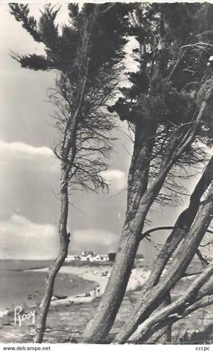 CPSM Quimiac-en-Mesquer Plage de l'Anséria