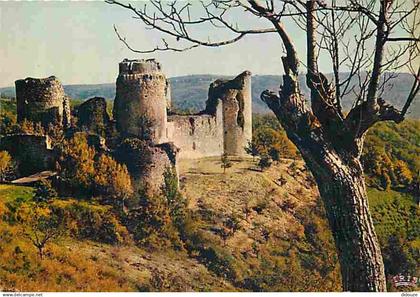 46 - Roussillon - Le Château de Roussillon - CPM - Voir Scans Recto-Verso