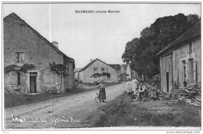 CARTE POSTALE ANCIENNE DE CHATEAUVILLAIN - GRANDE RUE    MARMESSE