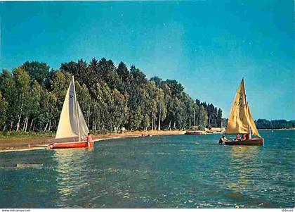 58 - Les Settons - Le Lac des Settons - Voile - Flamme Postale de Montsauche les Settons - CPM - Voir Scans Recto-Verso