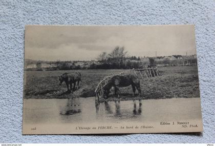 l'élevage au Perche, au bord de l'Huisne, Orne 61