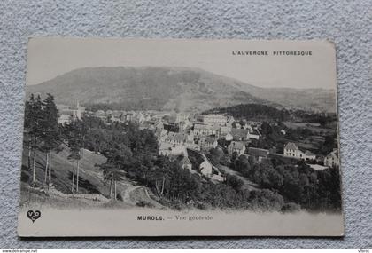 Murols, vue générale, Puy de Dôme 63