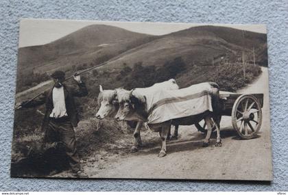 E355, Pays Basque, attelage Basque, Pyrénées atlantiques 64