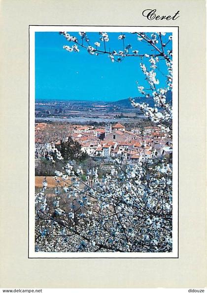 66 - Céret - Céret et les cerisiers - CPM - Voir Scans Recto-Verso