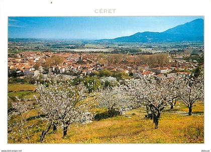 66 - Céret - Quand les cerisiers fleurissent autour de Céret - CPM - Voir Scans Recto-Verso