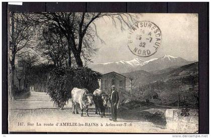 66 - Sur la Route d'Amélie-les-Bains - à Arles-sur-Tech - Boeufs - Charette