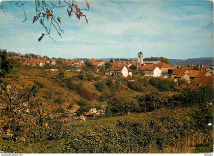 70 - Champlitte - Vue Générale - CPM - Voir Scans Recto-Verso