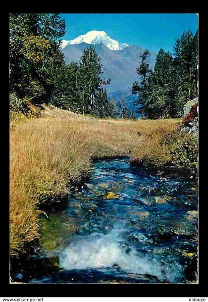 73 - Bourg St maurice - Les Arcs - Torrent à l'eau claire et limpide descendant de la Vallée de l'Arc - CPM - Voir Scans