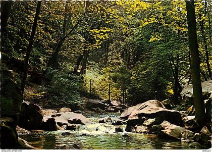 78 - Les Vaux de Cernay - Cascade des Vaux de Cernay - CPM - Carte Neuve - Voir Scans Recto-Verso