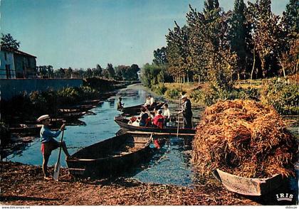 79 - Le Marais Poitevin - Venise Verte - Paysage pittoresque de la Venise Verte - Carte Neuve - CPM - Voir Scans Recto-V