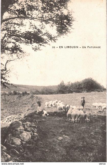 Carte Postale  ANCIENNE du LIMOUSIN - Un paturage