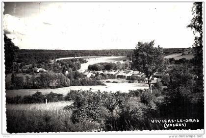 Carte Postale Ancienne de VIVIERS le GRAS