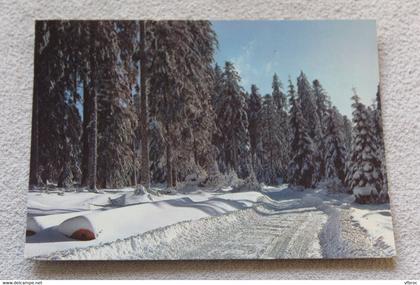 D616, Cpm, les hautes Vosges, paysage de neige, Vosges 88