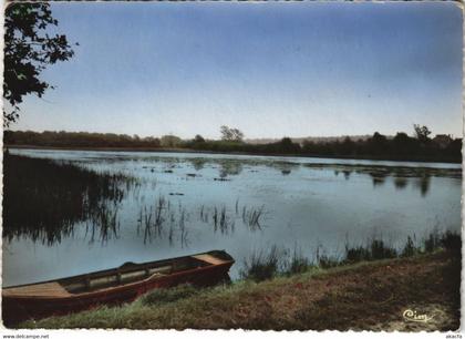 CPM CHEVILLON L'Etang Neuf (1196325)