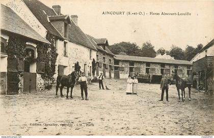 AINCOURT Haras Aincourt Lesville