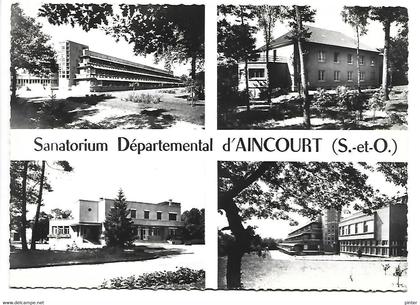 AINCOURT - Sanatorium Départemental